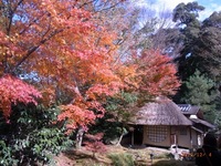 高台寺